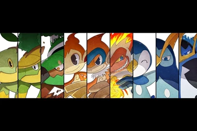 Torterra Wallpapers   Wallpapers Cave