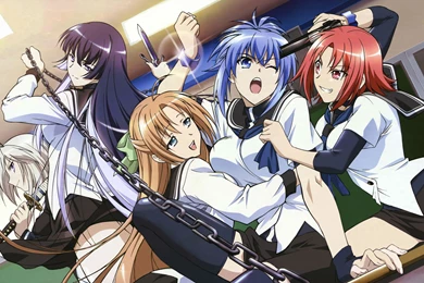 10 Kampfer HD Wallpapers