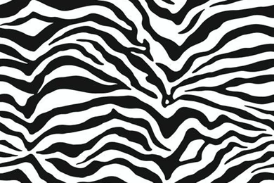 York Wallcoverings Just Kids Zebra Skin Wallpapers At Menards®