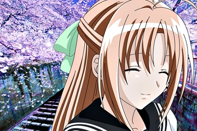 Kampfer Sakura Kaede Wallpapers