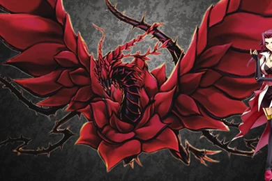 DeviantArt: More Like Akiza Yugioh Wallpapers By IAd1l