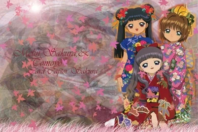 Three Best Friends   Card Captors Sakura Wallpapers