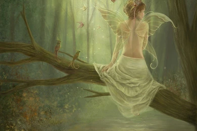 Wallpapers Vector Butterfly Fairy Queen Free Desktop Hd 1024x768 ...