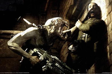 Wallpaper, Resistance, Brink (