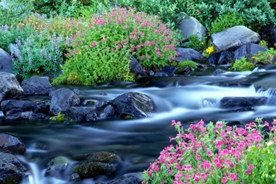 Nature Wallpapers Hd Free   Android Apps On Google Play