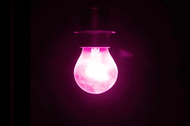 Lightbulb HD Staggering Wallpapers Free HD Wallpapers   Download ...
