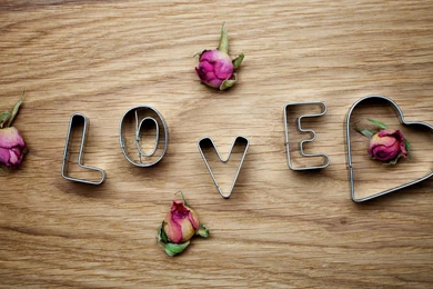 Download Love Flower Nice HD Wallpapers