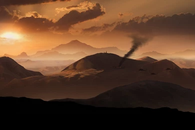 Black Birds Of Afghanistan Wallpapers And Images Wallpapers ...