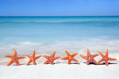 Free Wallpaper Beach 0051.jpg   Movetrip