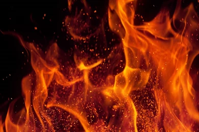 Big Butt(ons) Android Homescreen By Jeffstroup   MyColorscreen