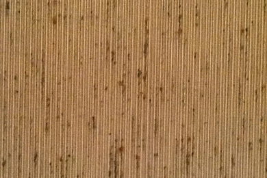 One Room Down & Wallpapers Torture