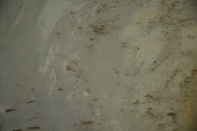 Taking Down Wallpapers « On A Greenstring