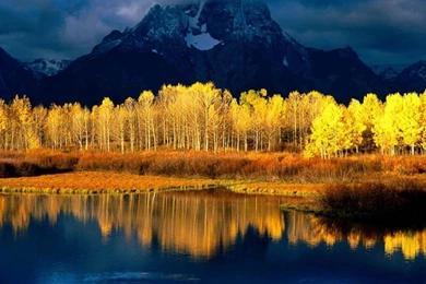 Nature Cool Desktop Backgrounds