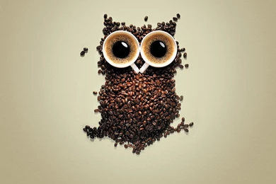 Wide eyed Coffee Owl / Extra Strong Coffee Advertising Wallpapers ...