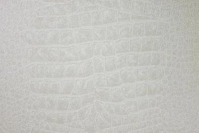 Osborne Little   Crocodilo Vinyl Wallpapers   9m Roll   Extra Wide ...