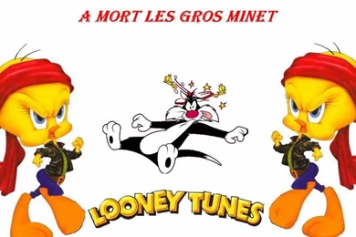 Tweety Bird Wallpapers 29