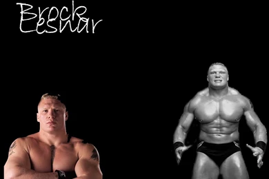 Wallpapers Logo Ufc Brock Lesnar 1024x768