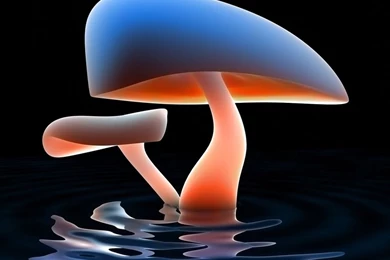 3d Wallpapers Mobile,desktop Wallpapers