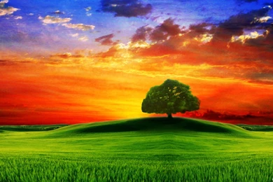 Free Computer Wallpapers Free HD Wallpapers Desktop Wallpapers ...