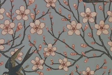 Walter Crane Wallpapers