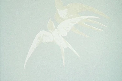 Bird Print Wallpapers