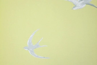 Wallpapers Featuring Birds