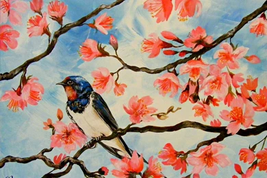 Cherry Blossoms And Swallow By Tantchen Lulu On DeviantArt