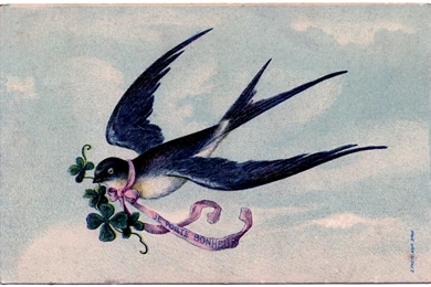 Lovely, Lovely Swallow With Pink Ribbon Garland   French   The ...