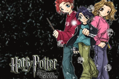 Harry Potter Wallpapers By Danime chan On DeviantArt