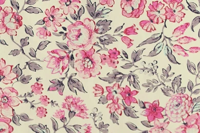 Floral Wallpapers Cool Amazing   Fullwidehd.com