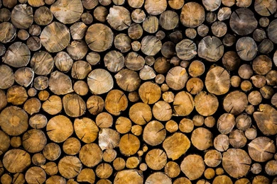 Wood Backgrounds Wallpapers HD Download Of Wood Logs Bark