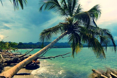 2560x1440 Coast, Landscape, Island, Nature, Palma, Beach, Beach ...