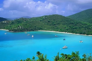 Free Tropical Wallpaper Backgrounds   Wallpapers Cave