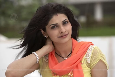 Wallpapers Prachi Desai In Saree Looking Gorgeous Size 1280x800 ...