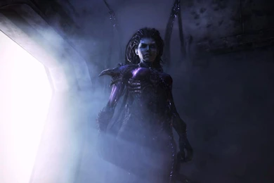 KERRIGAN WALLPAPER (