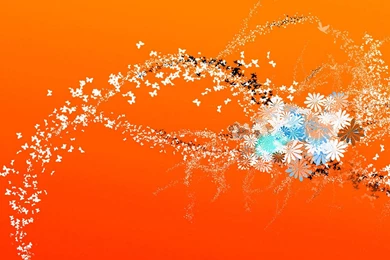 Saffron Floral Design Desktop Wallpapers