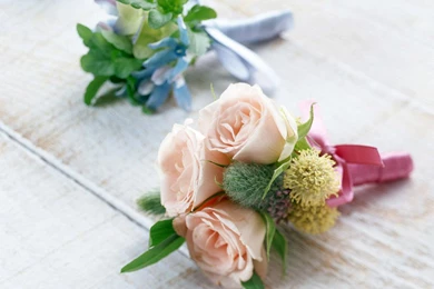 Lovely Flower Wallpapers