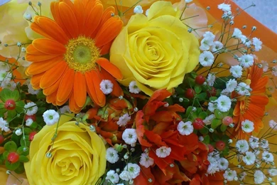 LOVELY FLOWERS WALLPAPER   (