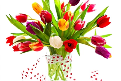 LOVELY TULIPS WALLPAPER   (