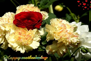 Mother's Day Flower Wallpapers Free Download