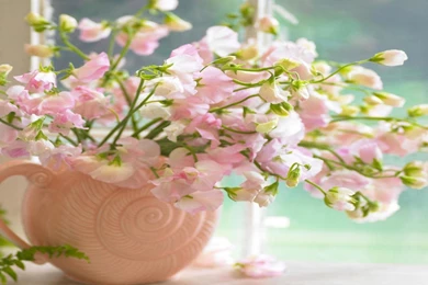 Spring Flowers Wallpapers Hd Wallpapers Inn