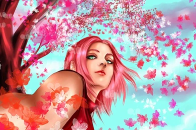 Sakura Haruno Wallpapers