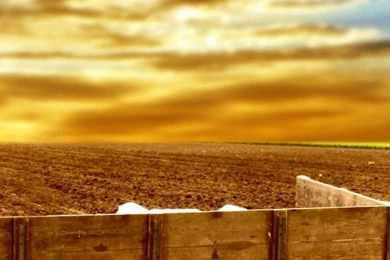 Tractor Field iPhone 6 Wallpapers HD And 1080P 6 Plus Wallpapers