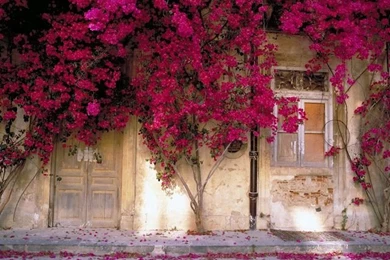 Beautiful Spring Desktop Wallpapers