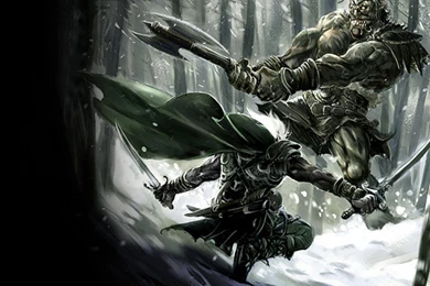 Drizzt Dark Elves Drow Fantasy Art Wallpapers   (