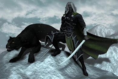Drizzt Do'Urden Wallpapers   Wallpapers Zone