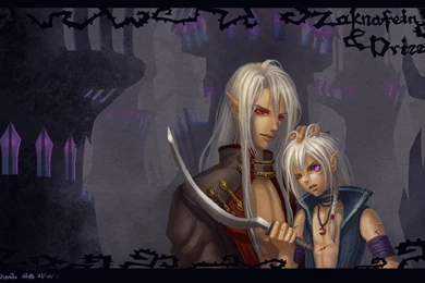 Drizzt Wallpapers   Wallpapers Cave