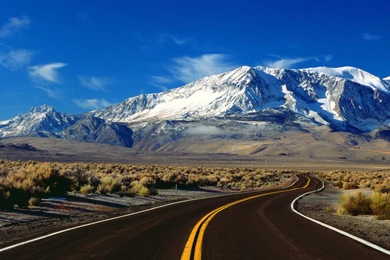 Paisajes Nature Flowers   HD Widescreen Wallpapers