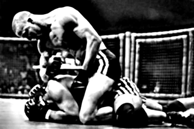 Wallpapers Ufc Fighting On Top 1024x768