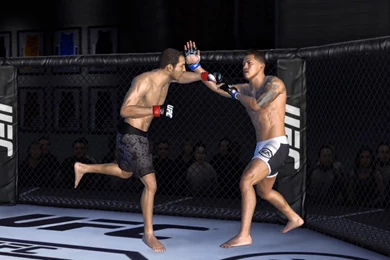 Ufc [15] HD Wallpapers And Images Collection